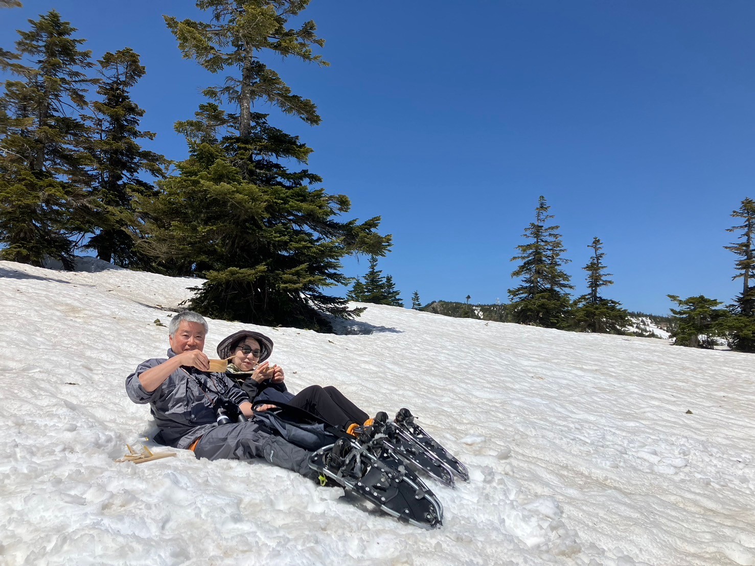 春のガイドツアー3/Spring Guided Tour