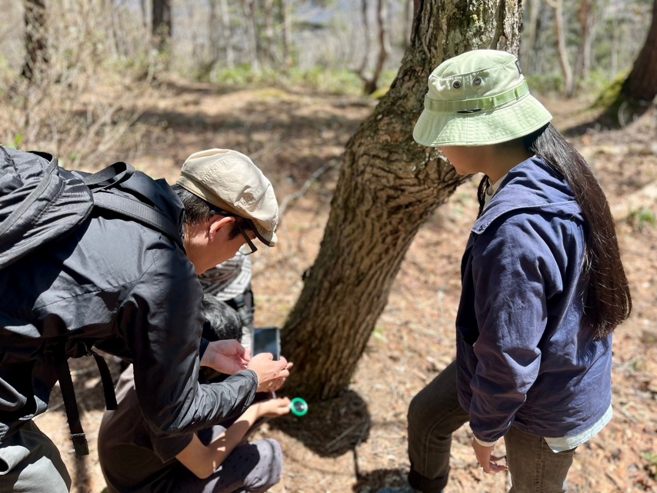 春のガイドツアー2/Spring Guided Tour