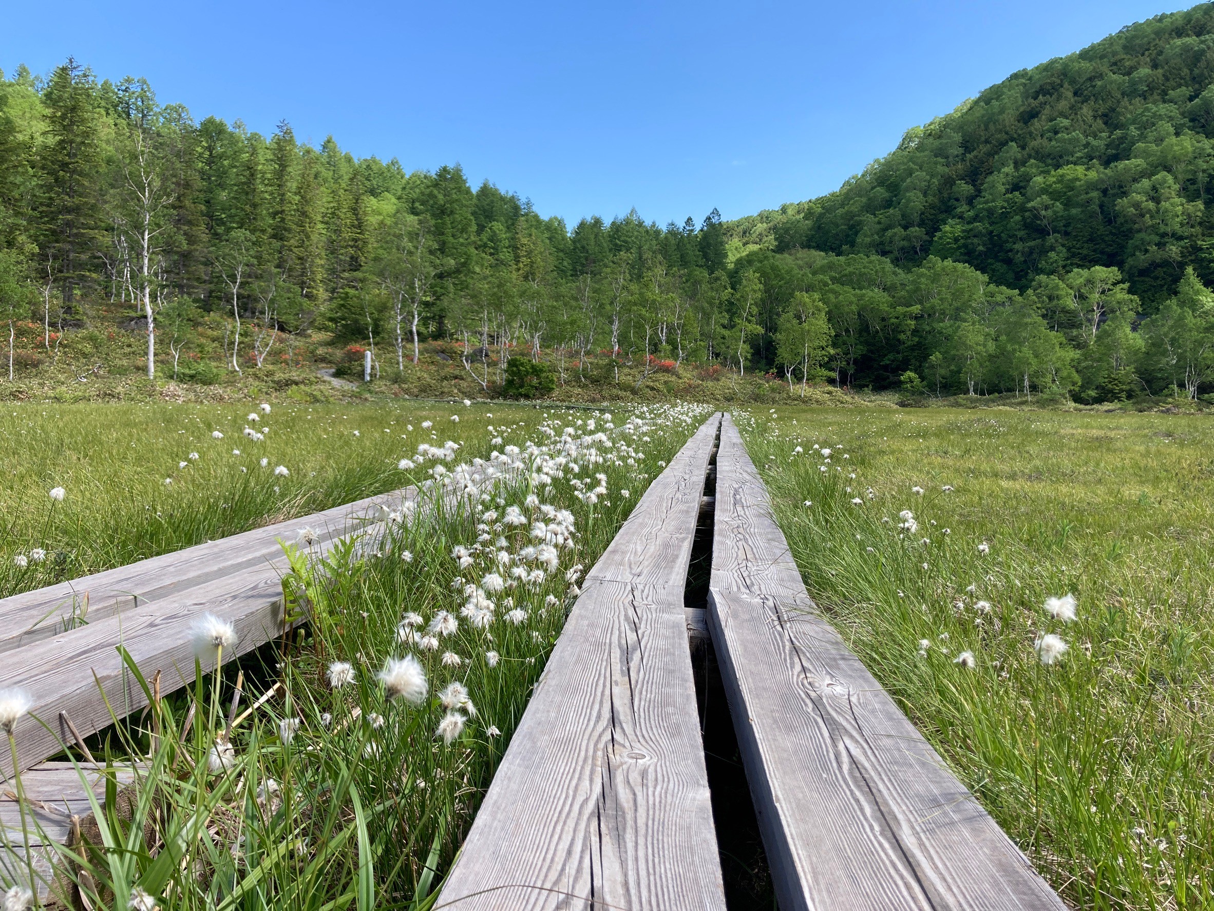 自然探勝コース