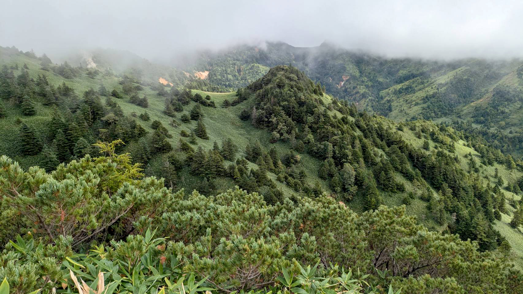 9月19日紅葉情報/September 19 Fall Foliage Update