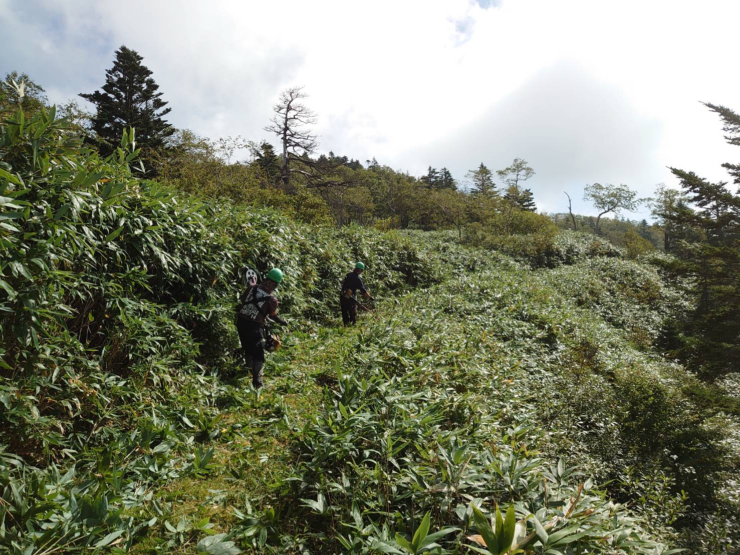岩菅山～切明温泉間縦走路刈払い状況について