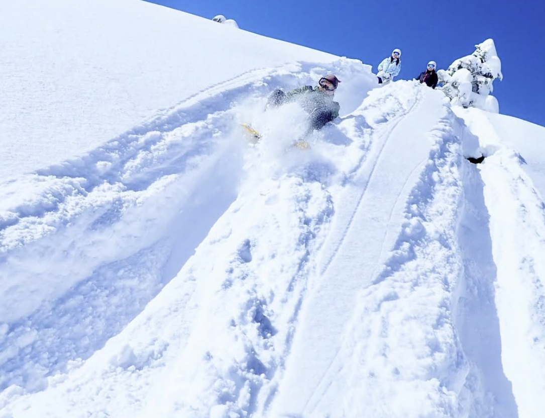 スノーシューツアー/Snowshoe Tour 03.january.2025