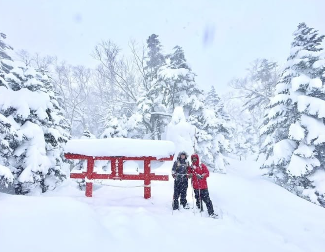 スノーシューツアー/Snowshoe Tour 13.January.2025