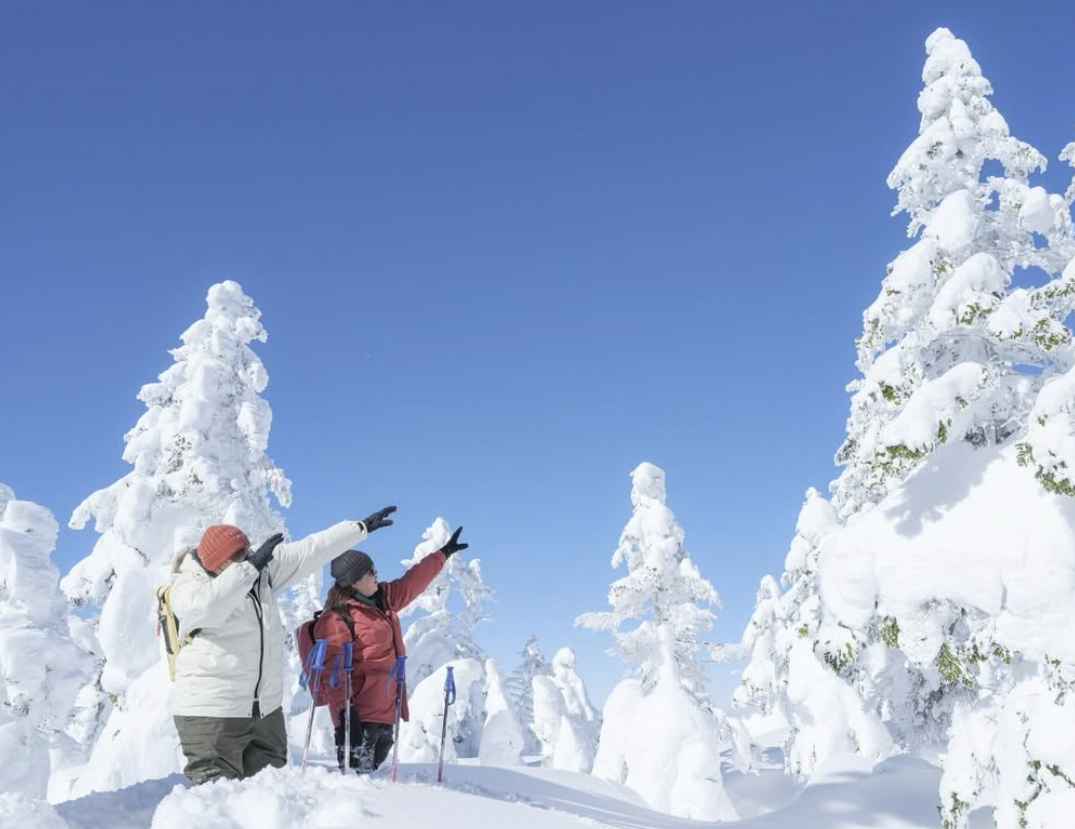 スノーシュー山頂ツアー/Moutain Top Group tour 16.january.2025