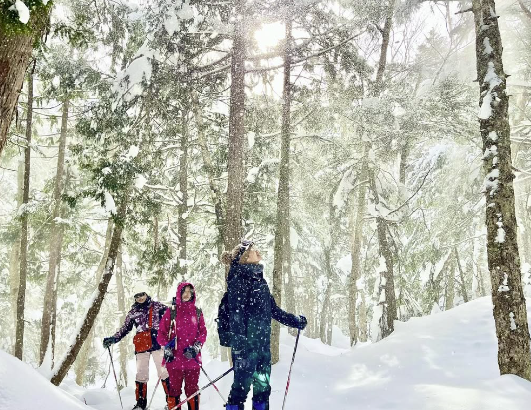 スノーシュー冬の森ツアー/Winter Forest tour 27,January,2025
