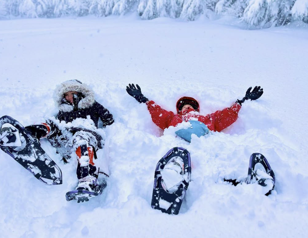 スノーシューツアー/Snowshoe Tour, 19 February 2025