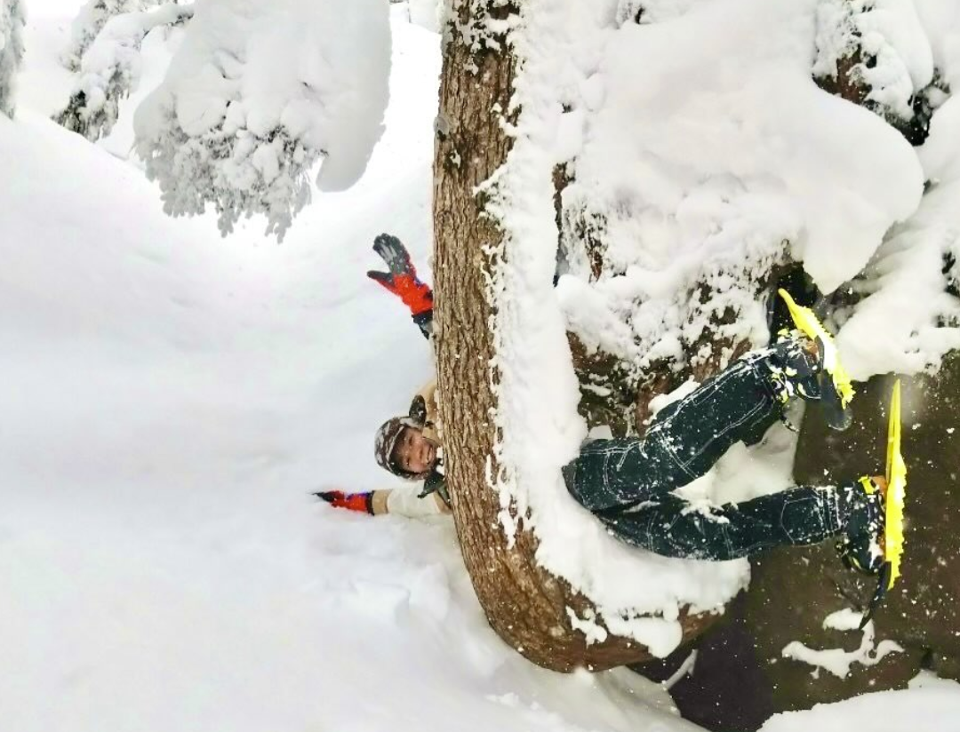 スノーシューツアー/Snowshoe Tour, 22 February 2025