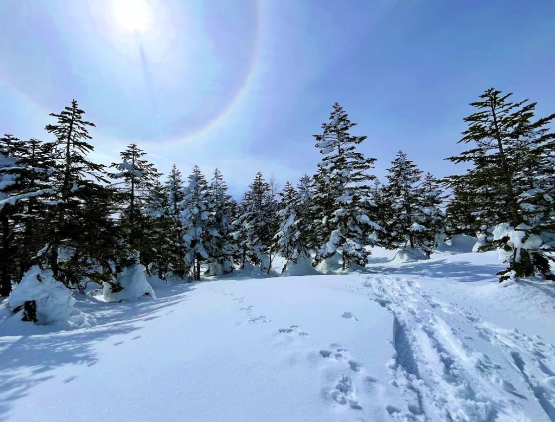 スノーシューツアー/Snowshoe Tour, 12 March 2025