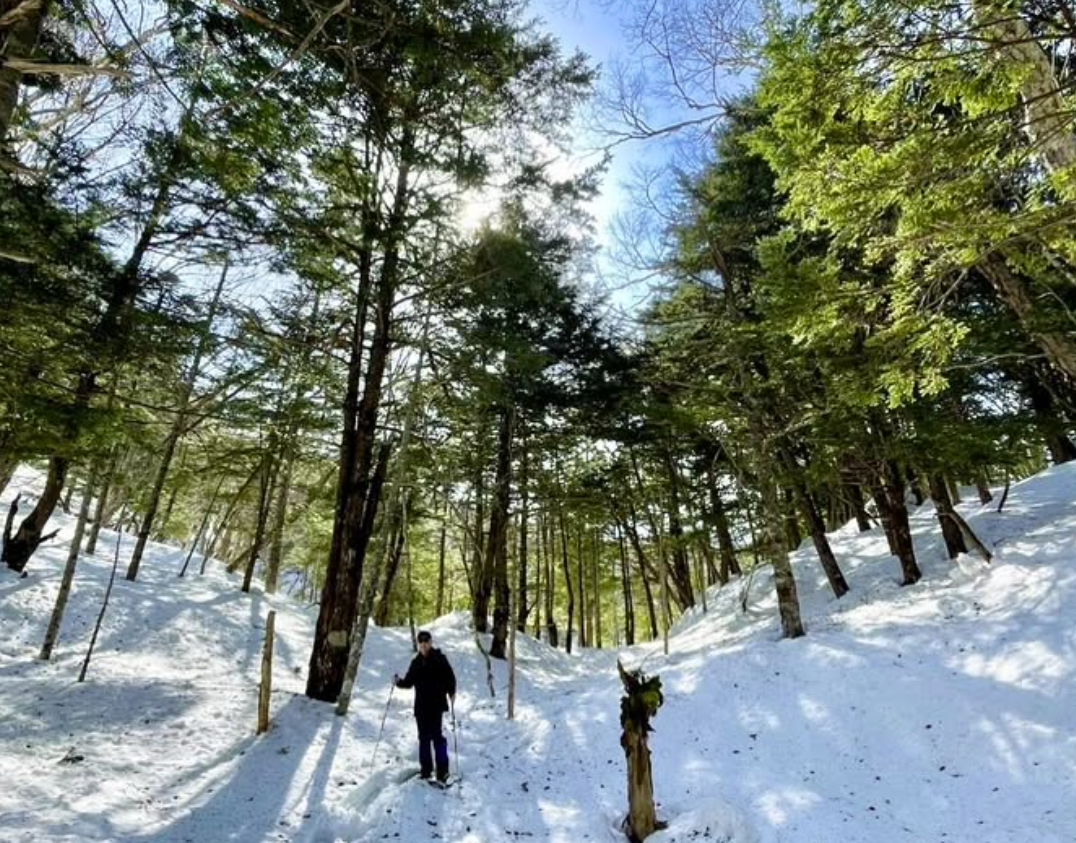 スノーシュープログラム/Snowshoe Tour, 25 March 2025