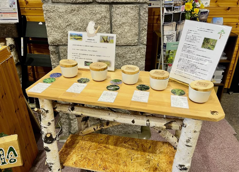 春の特別プログラム