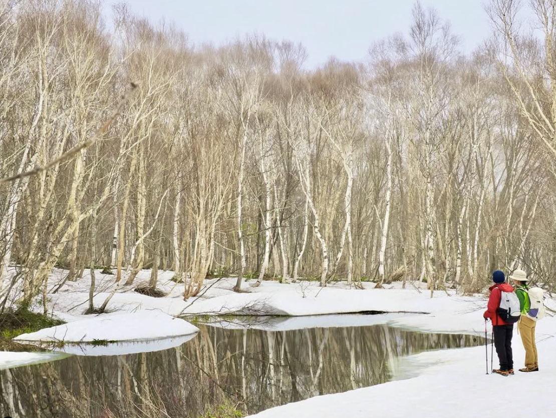 森林セラピートレッキング＆アロマ体験