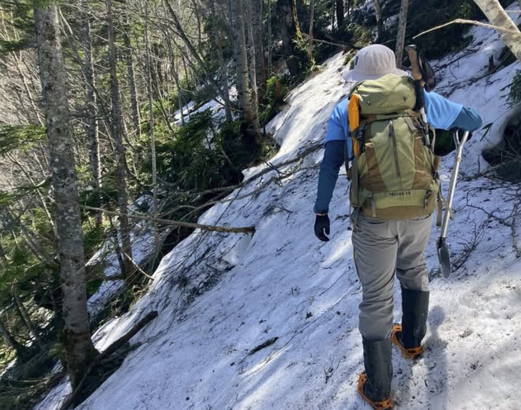 池めぐりコース状況
