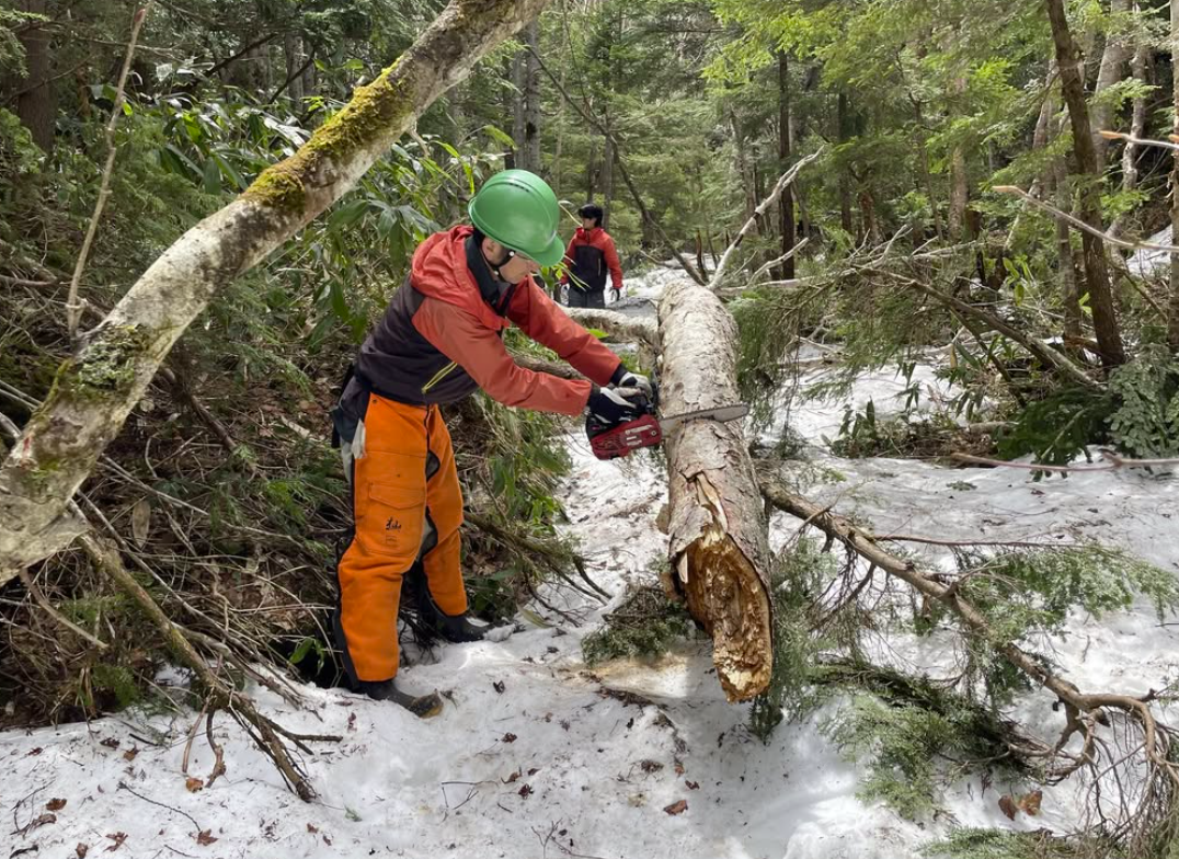 登山道の倒木を撤去しています