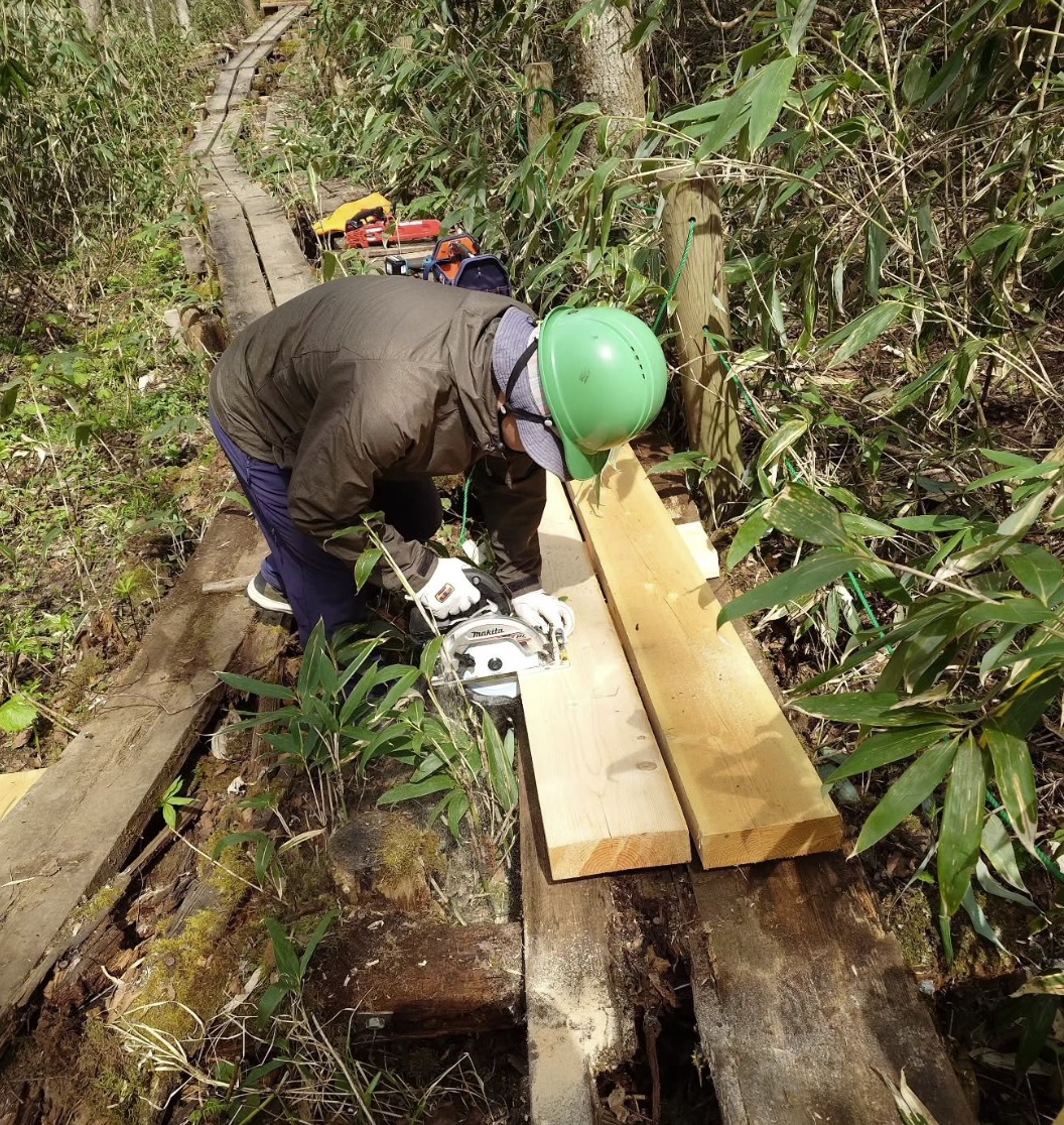木道を整備しています