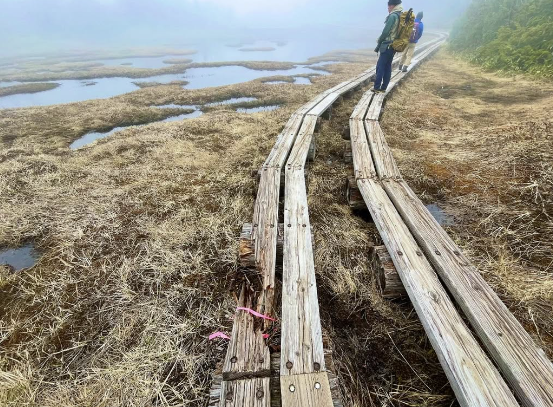 四十八池湿原・大沼池コース状況