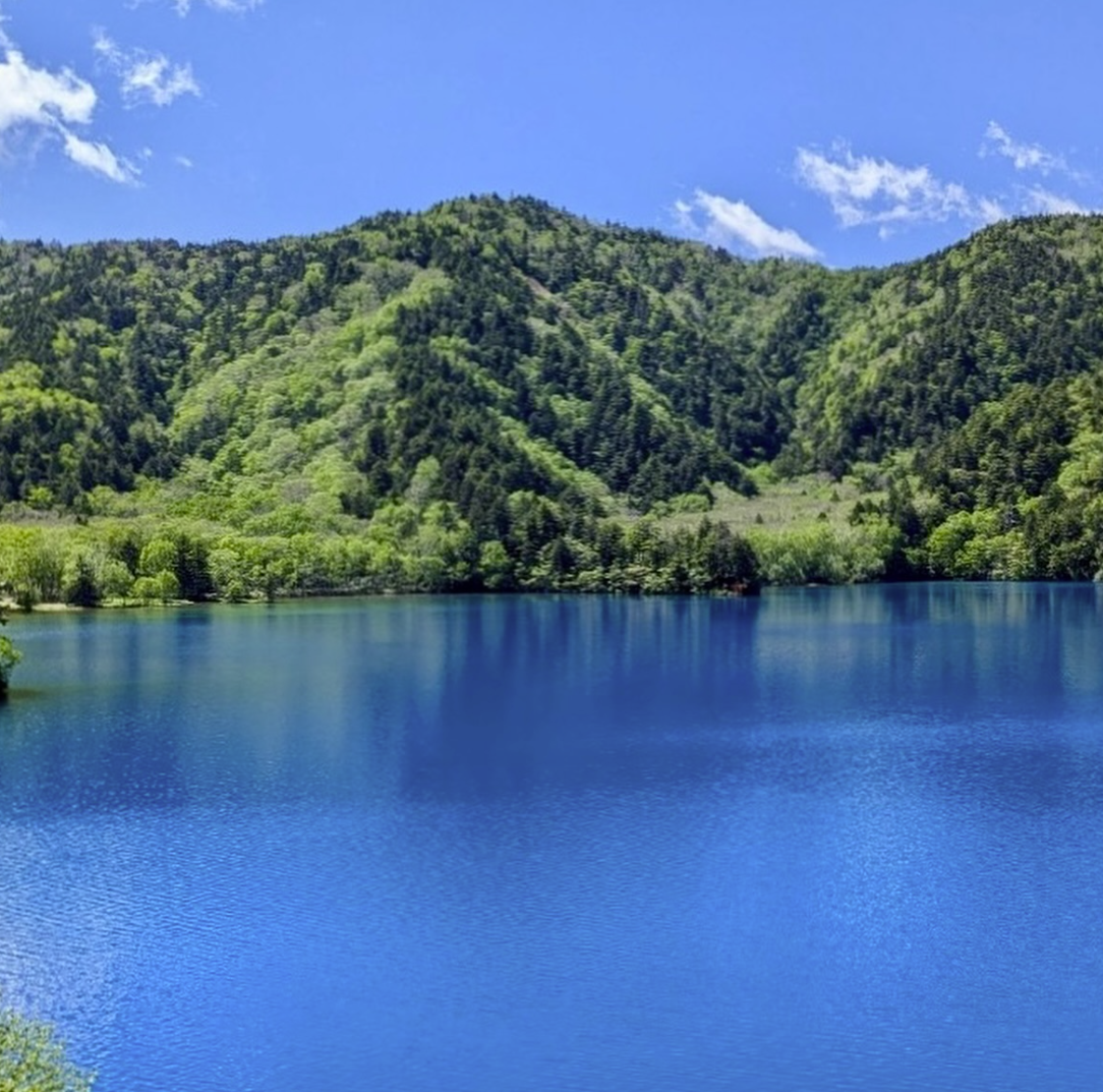 6月17日　大沼池