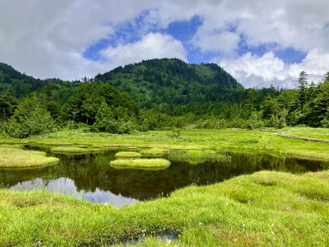 7/23池めぐりコース