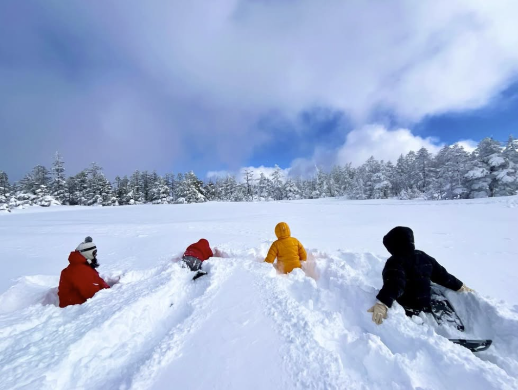 2026年最初のツアー/The first tour of 2026 is underway.